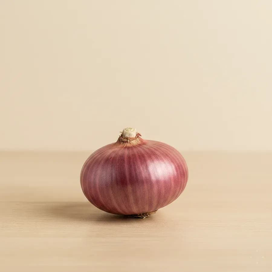 Cebolla Morada