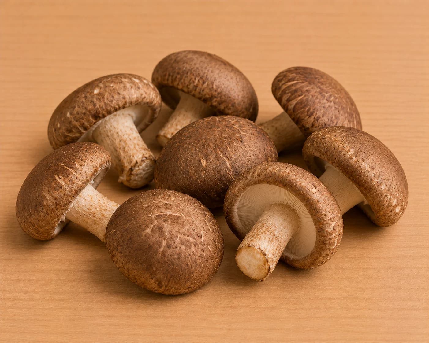Seta Shiitake